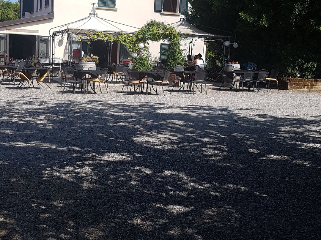 Fattoria La Steccaia主图