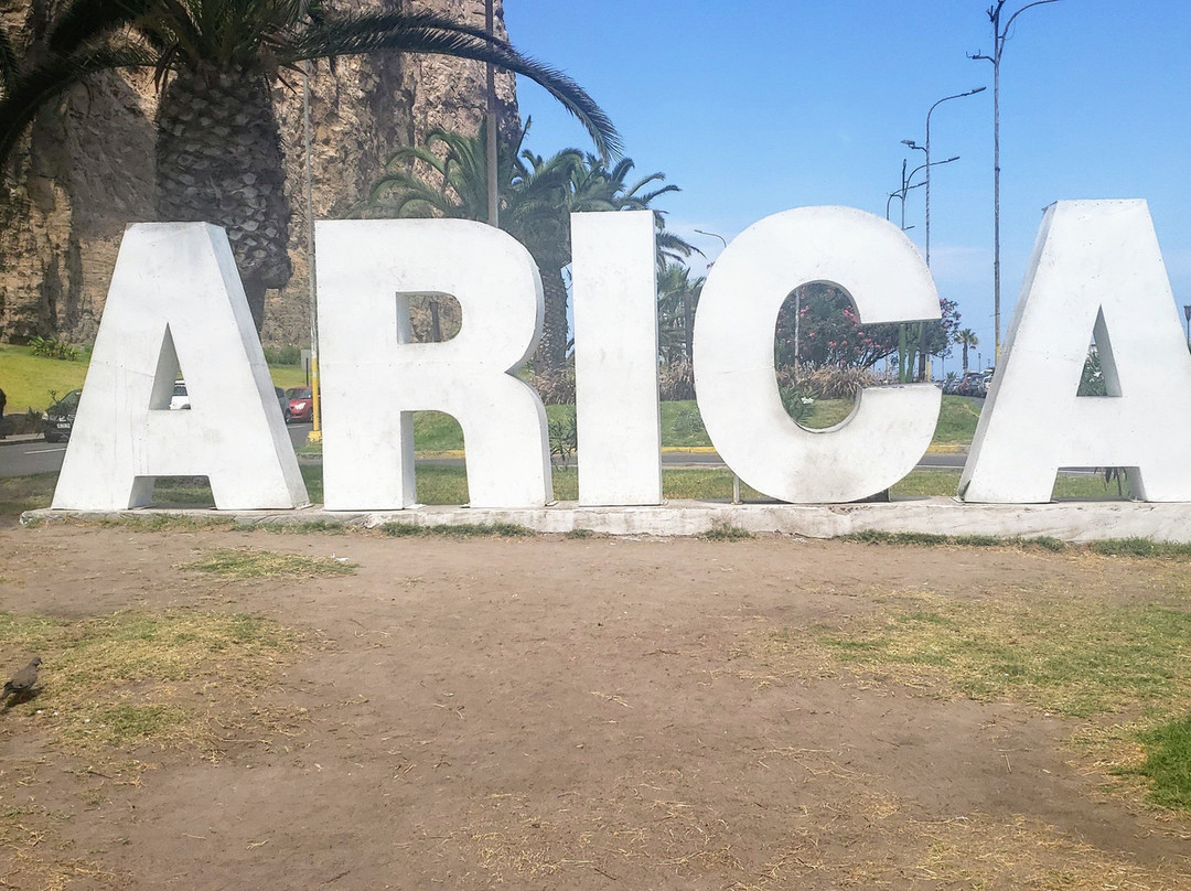 Vicuna Mackenna Park-阿里卡必去景点