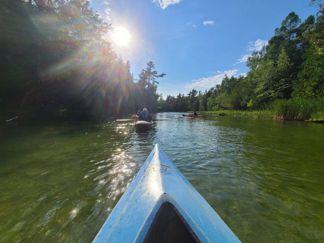 Riverside Canoe Trips景点图片