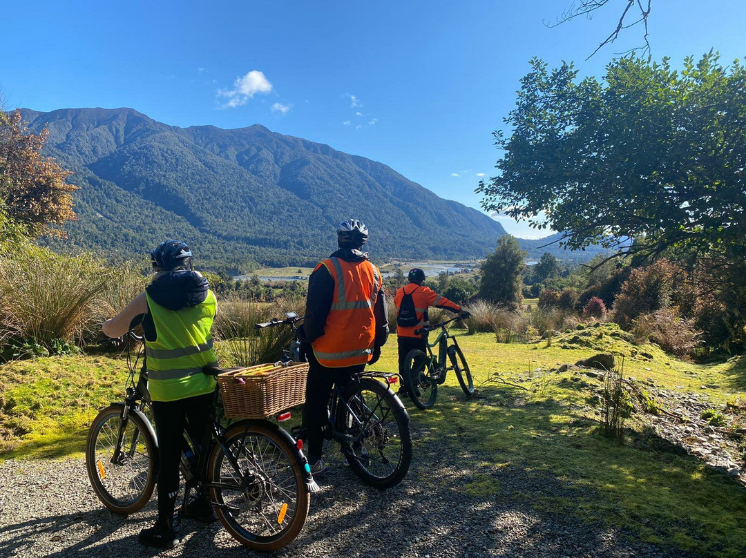 West Coast Cycle and Tours景点图片