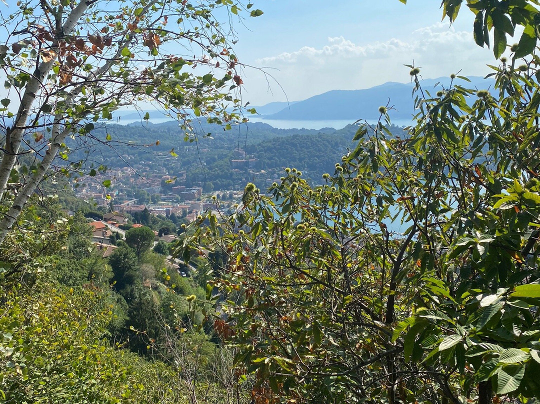 Sasso del Fungo景点图片
