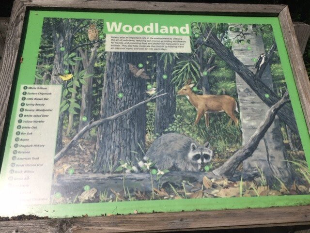 Horicon Marsh-Mayville必去景点