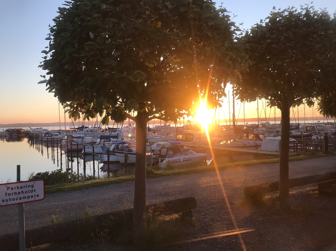 Ebeltoft Skudehavn景点图片