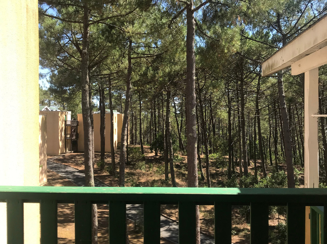 Résidence Pierre & Vacances Les Grands Pins主图