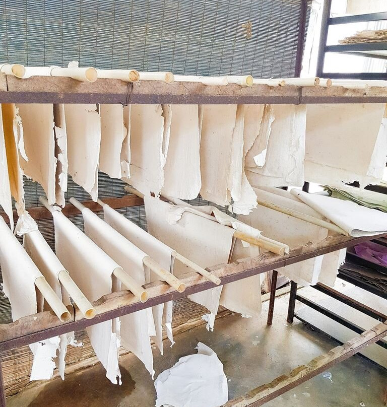 EcoMaximus Elephant Dung Paper Products-品纳维拉必去景点