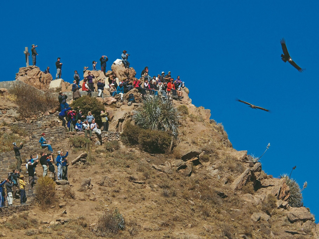VIPAC Travel-阿雷基帕必去景点