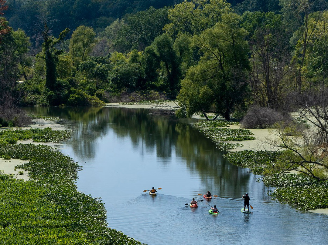 Galien River County Park-New Buffalo必去景点