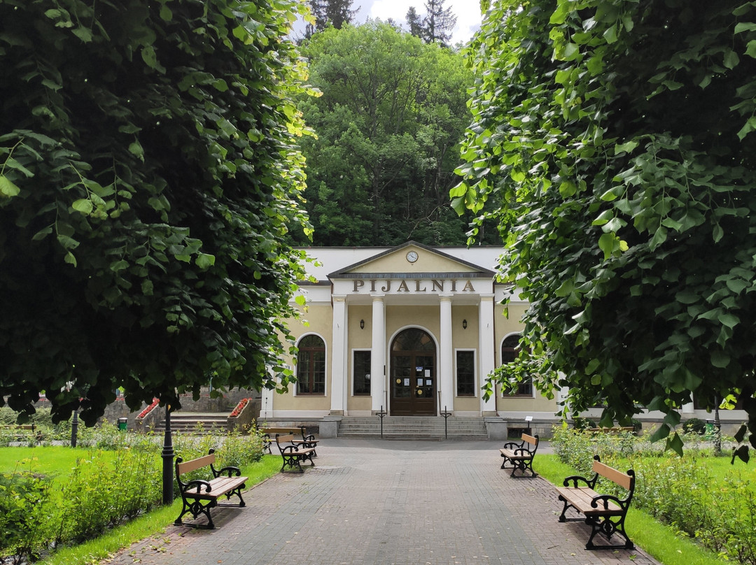 Park Zdrojowy景点图片