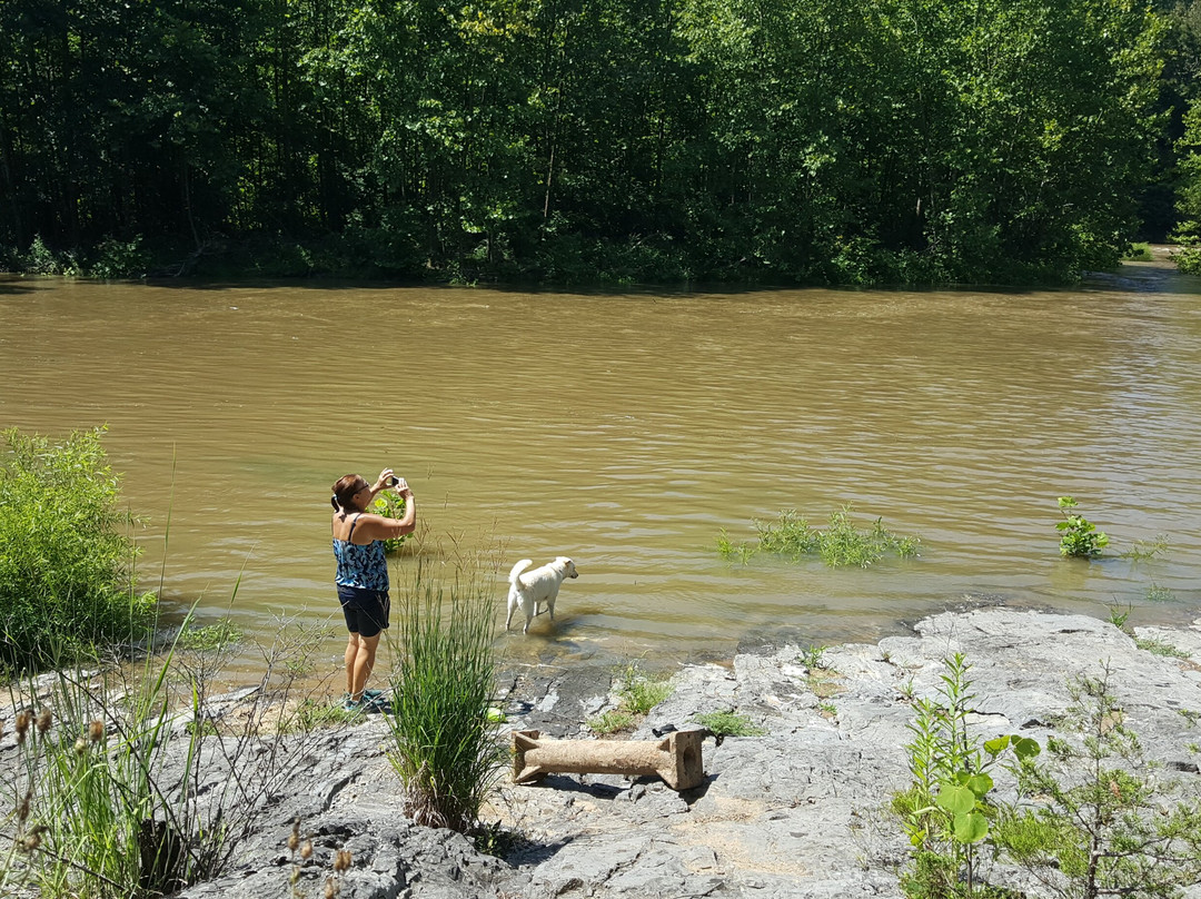 Chessie Nature Trail-列克星敦必去景点