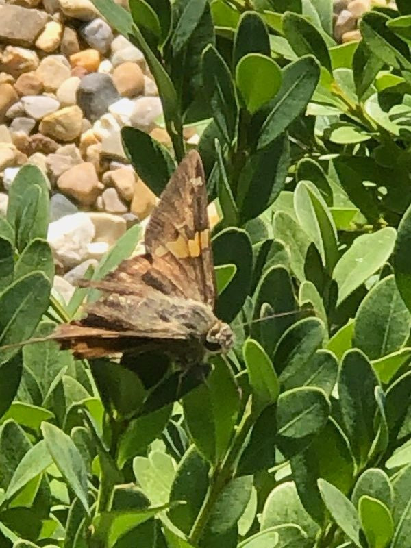 Allerton Park & Retreat Center-Monticello必去景点