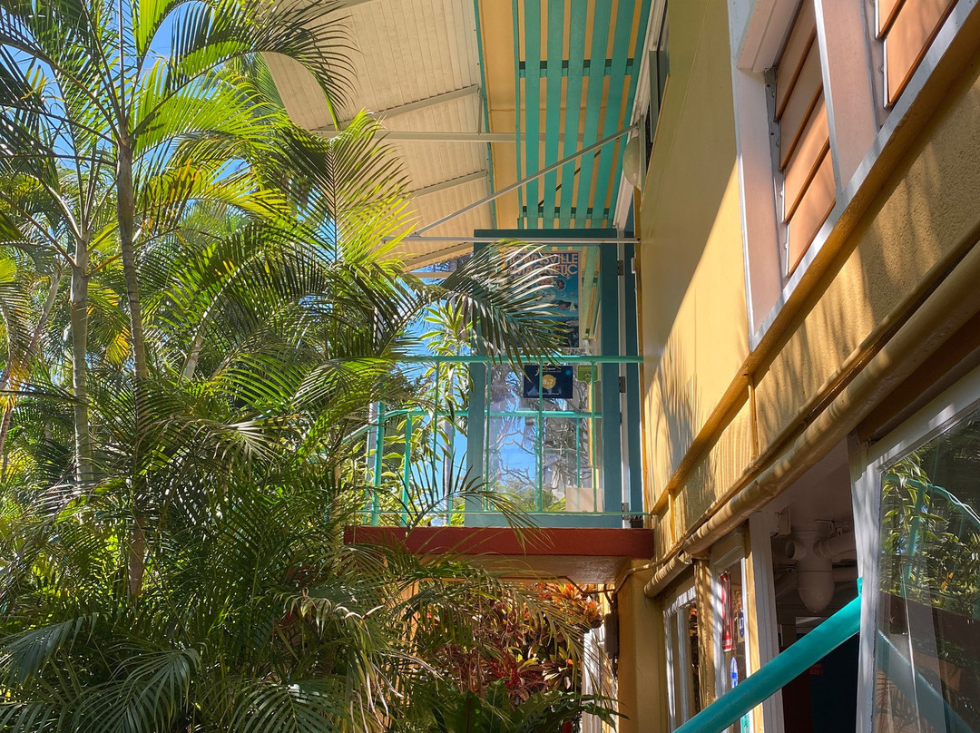 Orchid Guest House主图