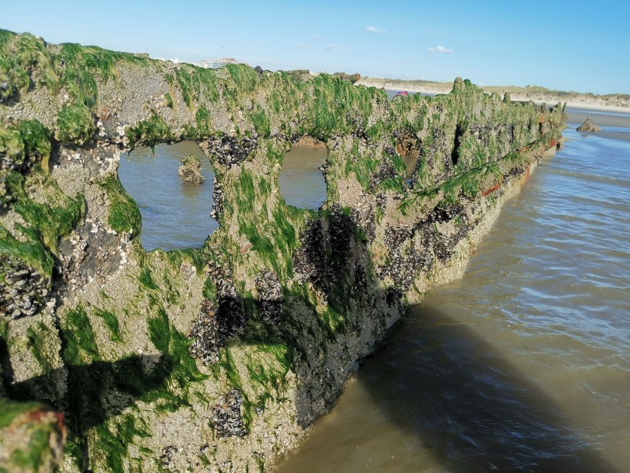 Plage de Zuydcoote景点图片