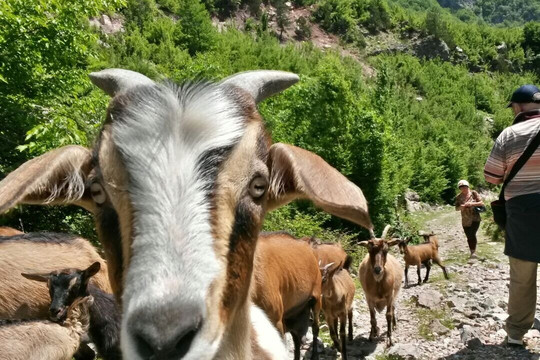 Choose Balkans-斯科普里必去景点