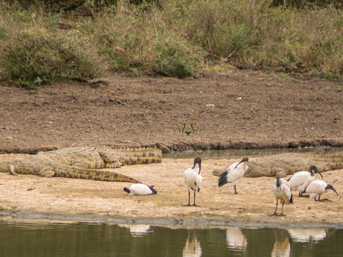 Divulge Adventures-内罗毕必去景点