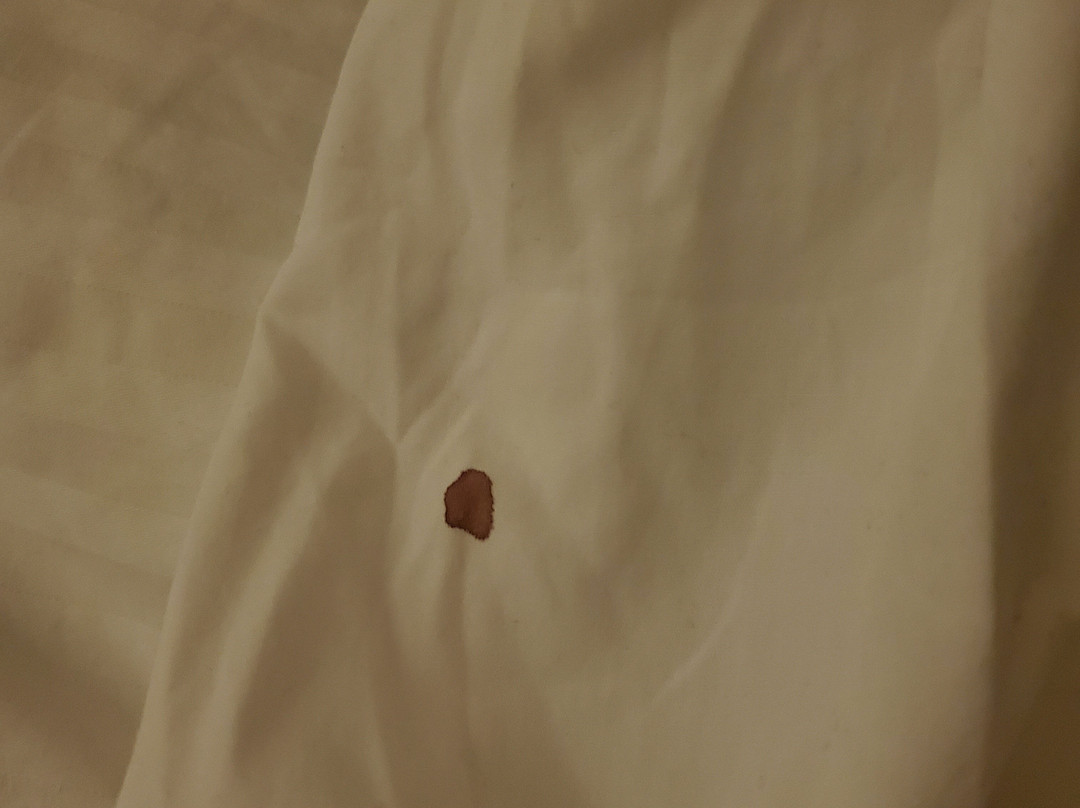 Western Star Inn & Suites主图