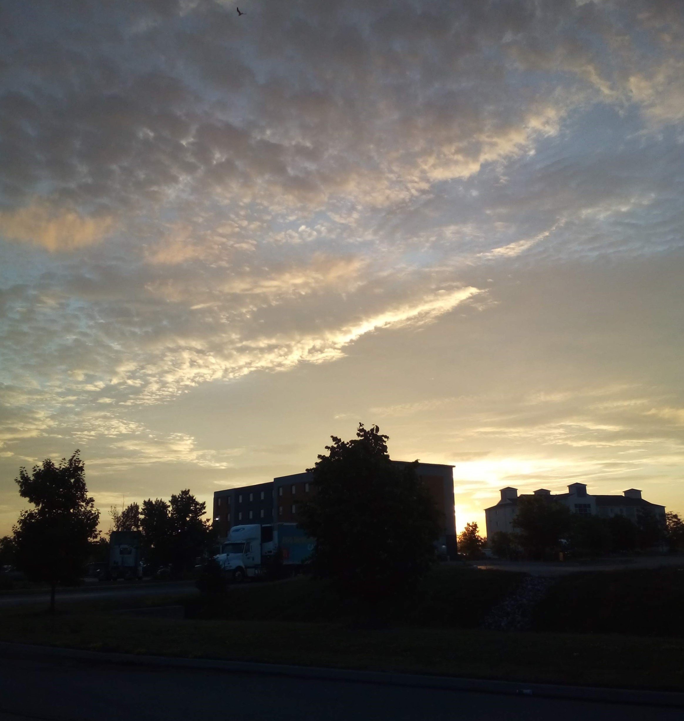 Quality Inn & Suites-portrait