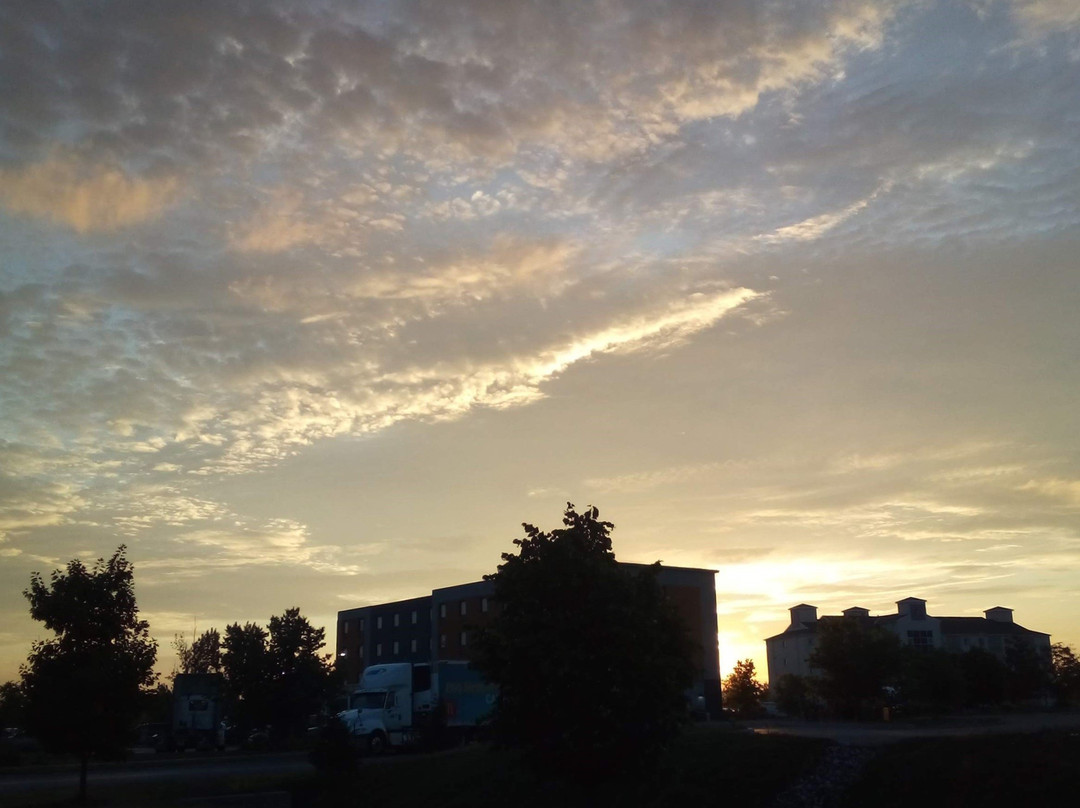 Quality Inn & Suites主图