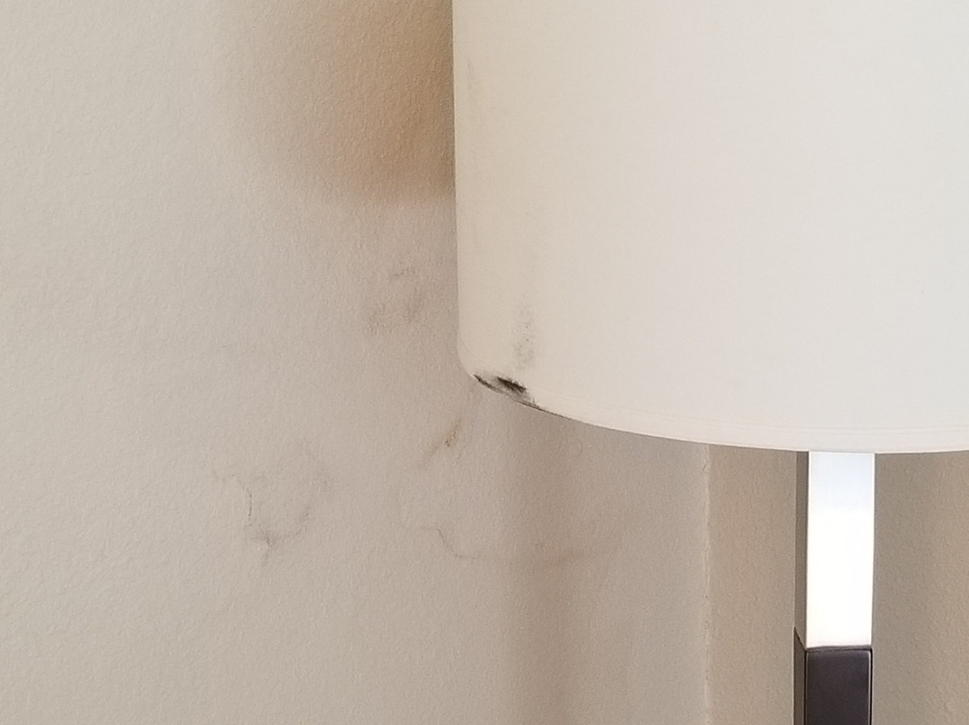 Fairfield by Marriott Inn & Suites Indianapolis Avon主图