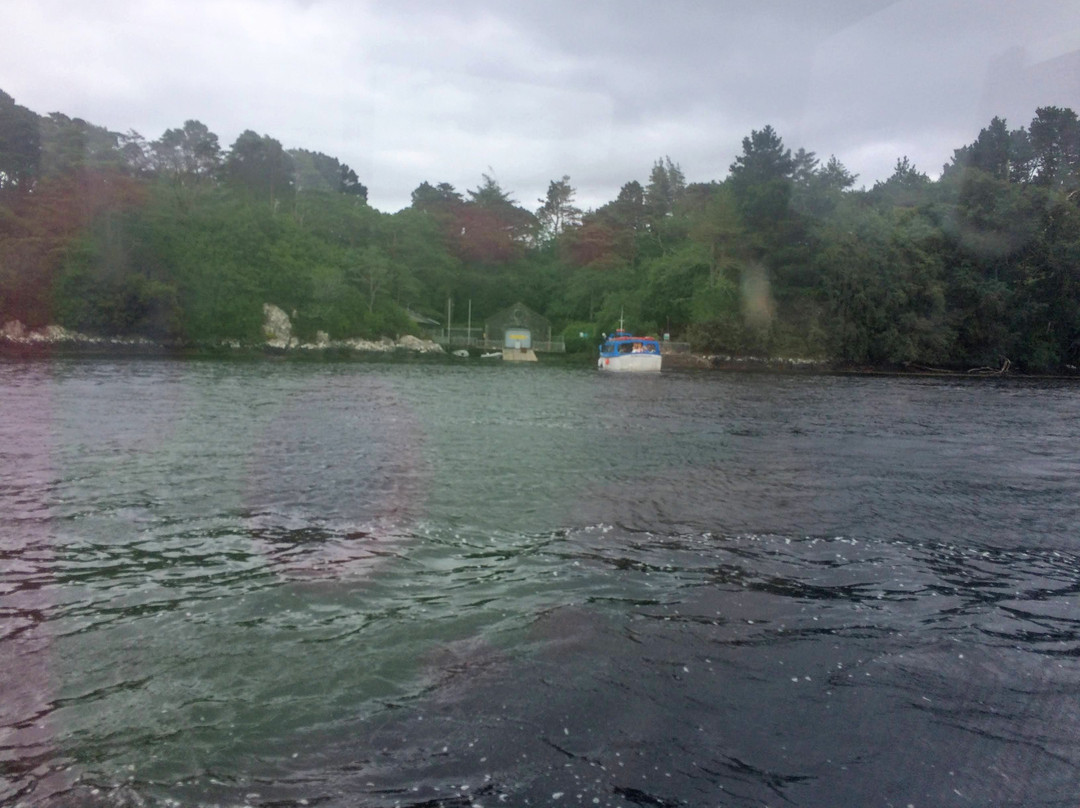 The Blue Pool Ferry-Glengarriff必去景点