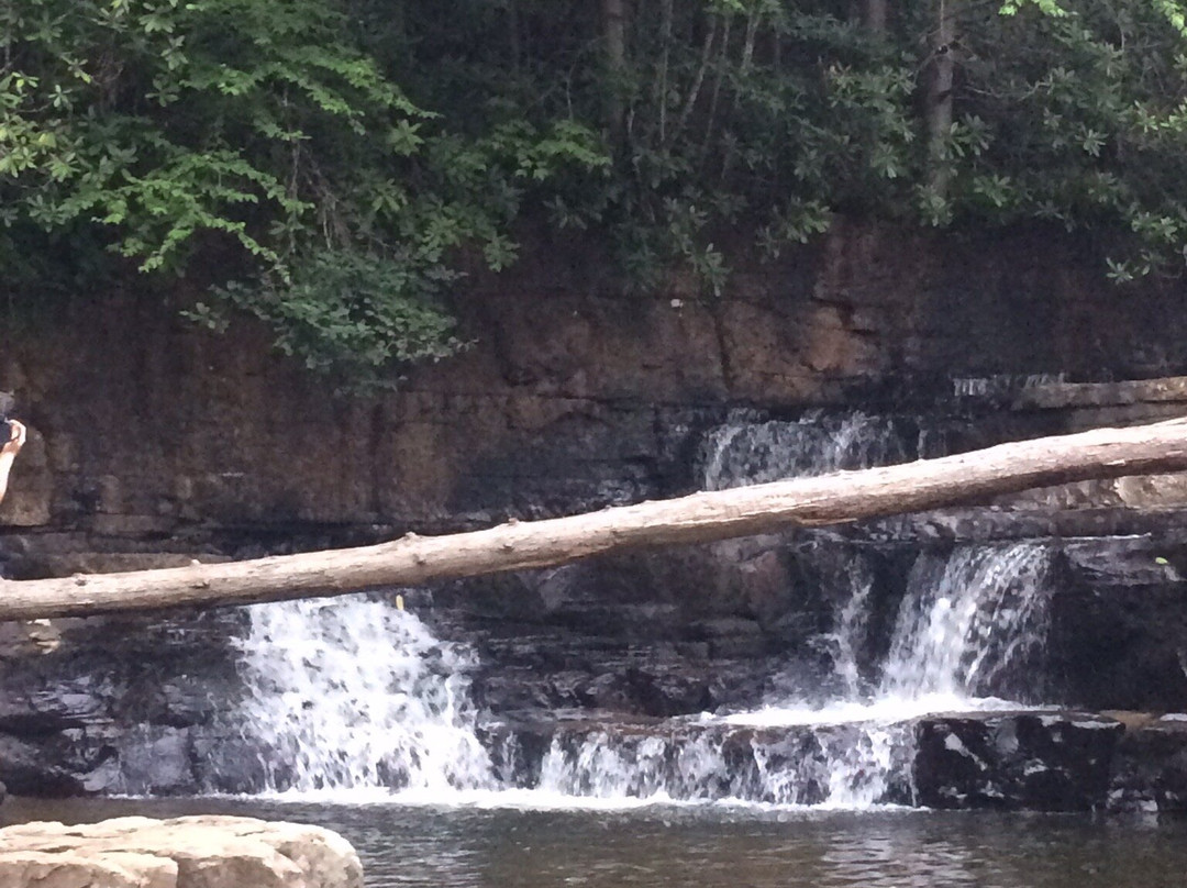 Dismal Falls景点图片