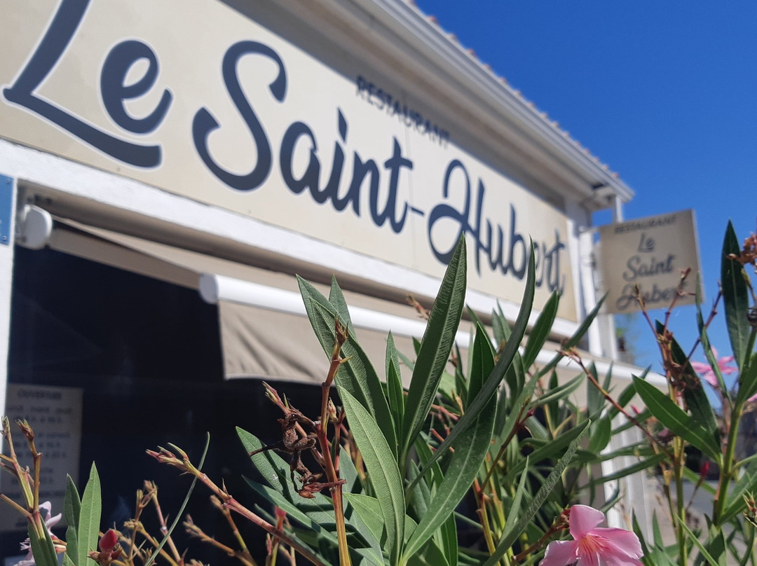 Tesson旅游攻略图片