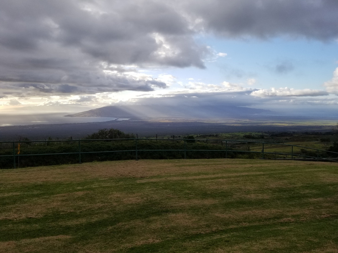 哈罗德•赖斯公园-库拉必去景点