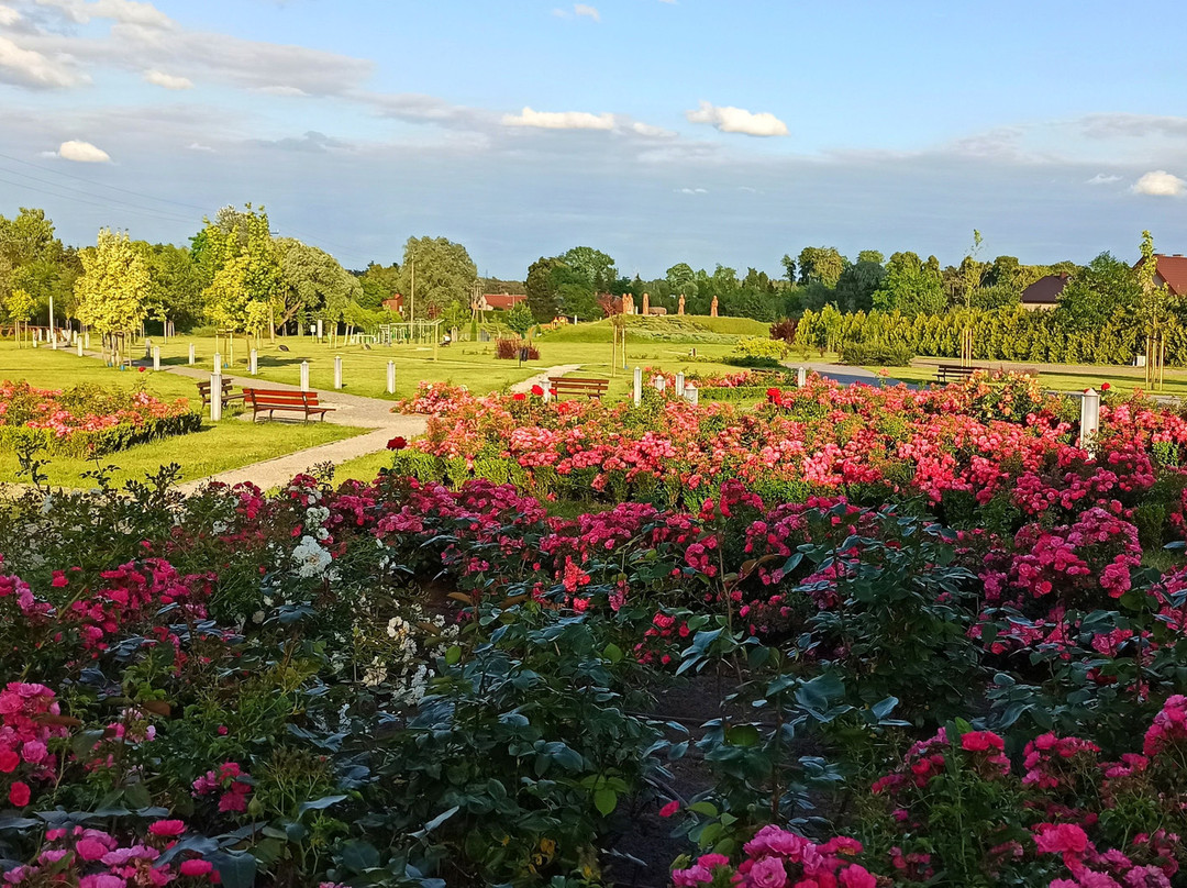 Kazimierski Park Kulturowy景点图片