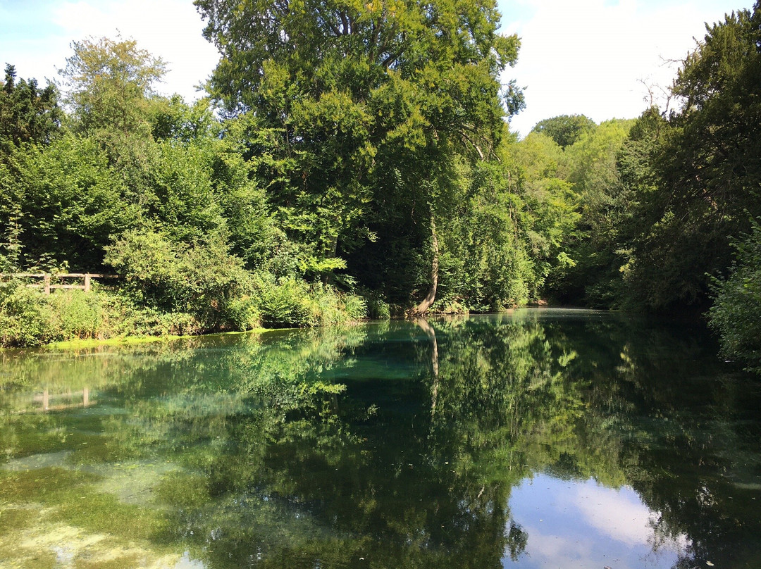 Silent Pool景点图片