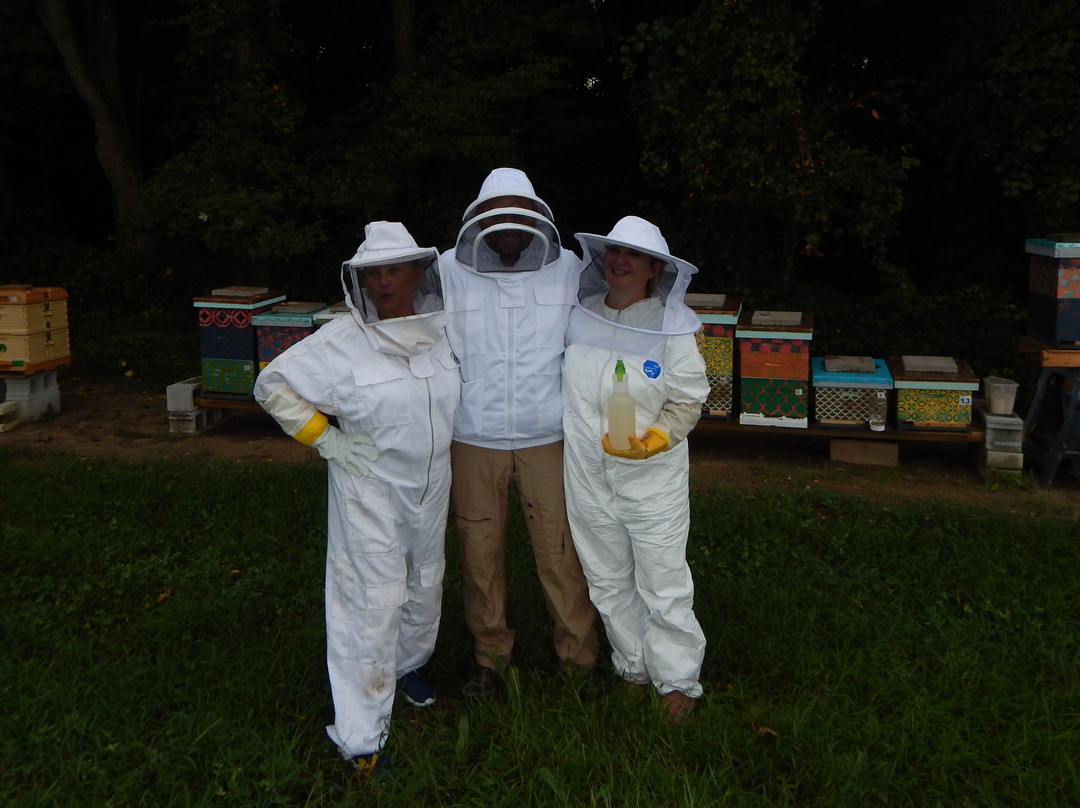 BayBees Honey, LLC-Whaleyville必去景点