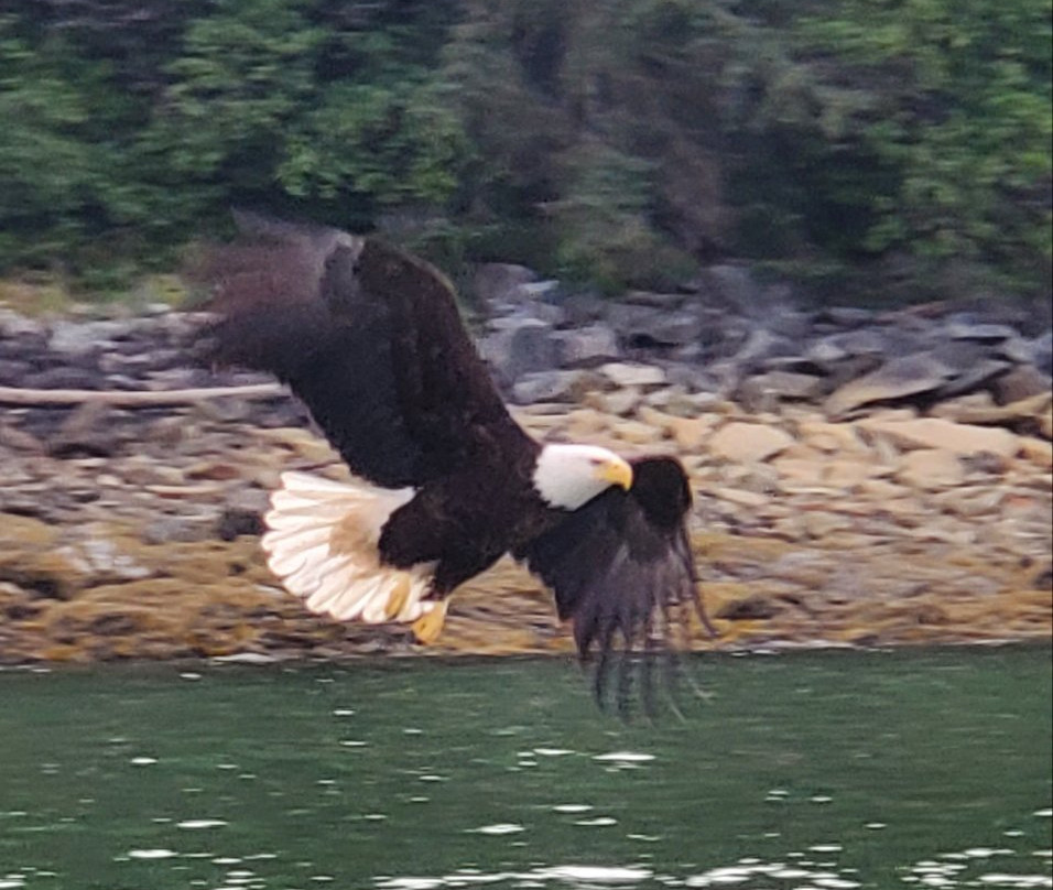 Juneau Adventures景点图片