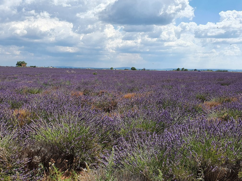 Lavande Angelvin-瓦朗索勒必去景点
