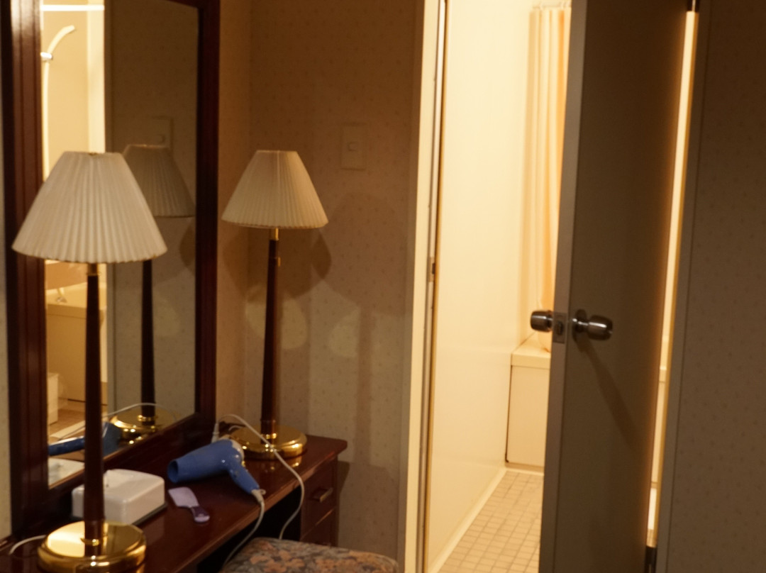 Hotel Monarque Tottori主图