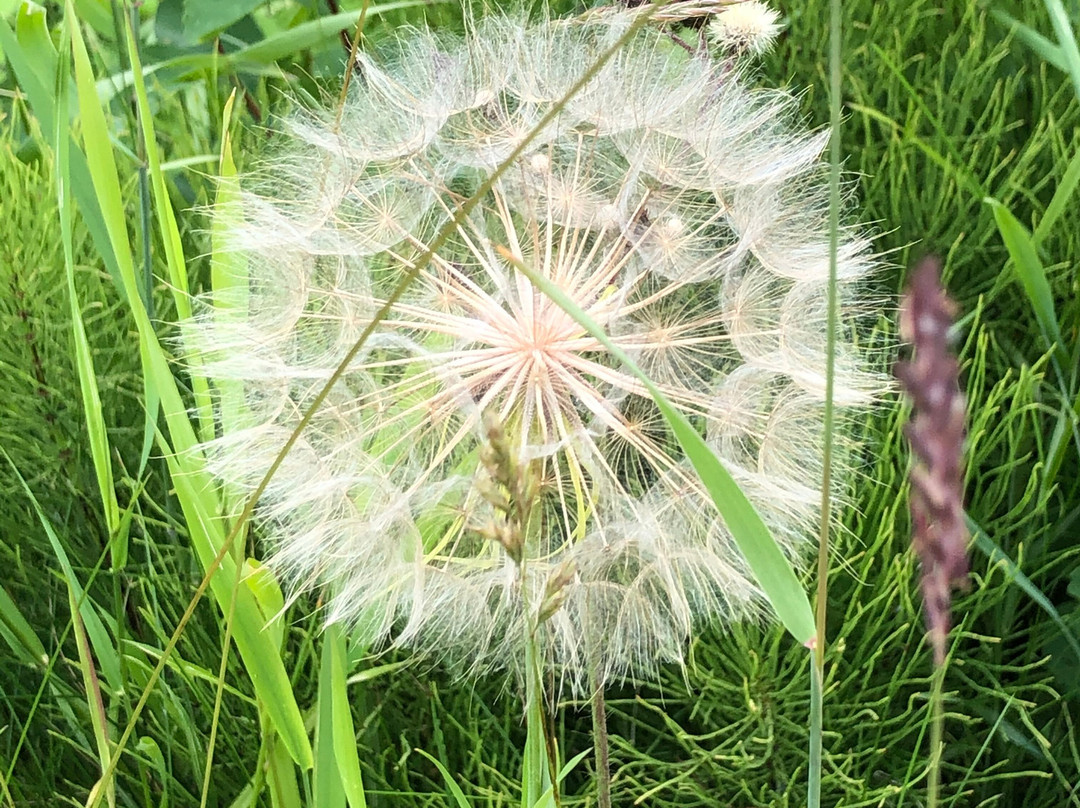 Lazy Daze Resort主图