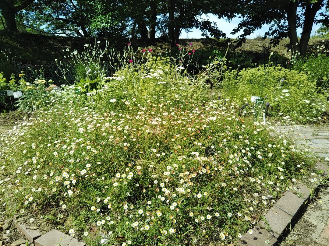 Okitama Park Herb Garden景点图片