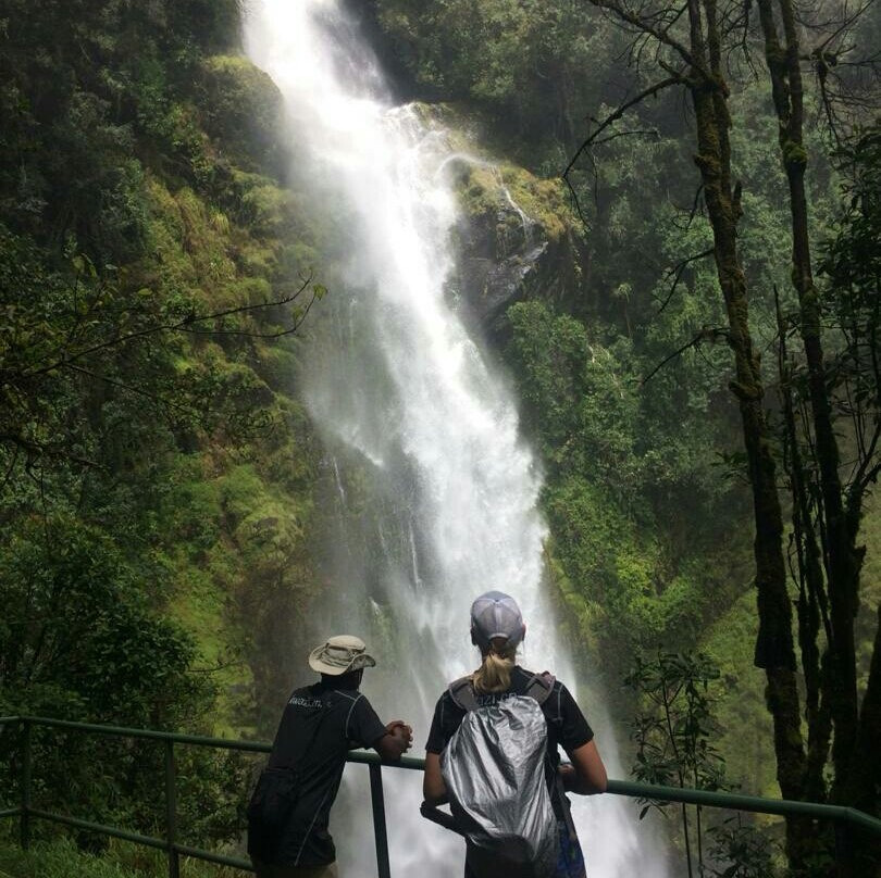 Kitulo National Park-Makete必去景点
