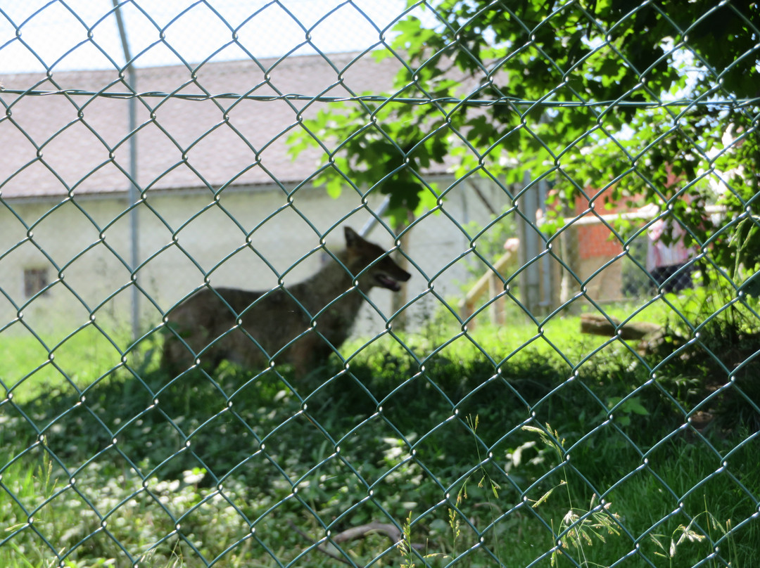 Tierpark Rosegg-Rosegg必去景点