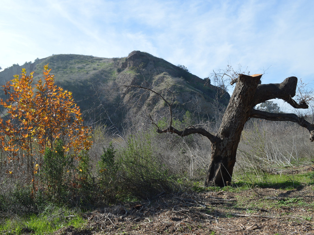 Santiago Oaks Regional Park-橘子郡必去景点