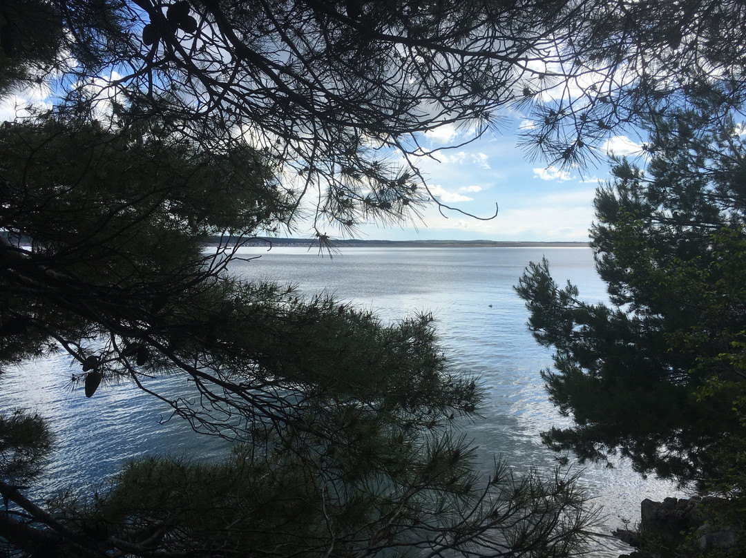 Camp Stine