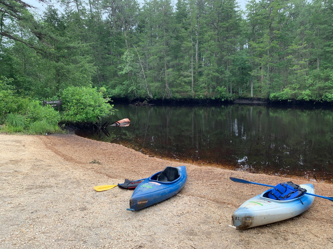 Micks Pine Barrens Canoe and Kayak Rental景点图片