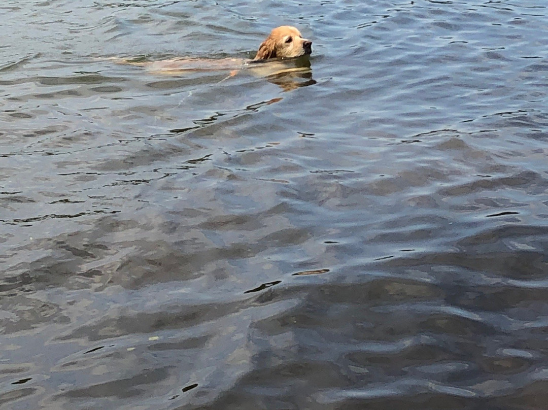 Georgia Mountain Fairgrounds-Hiawassee必去景点