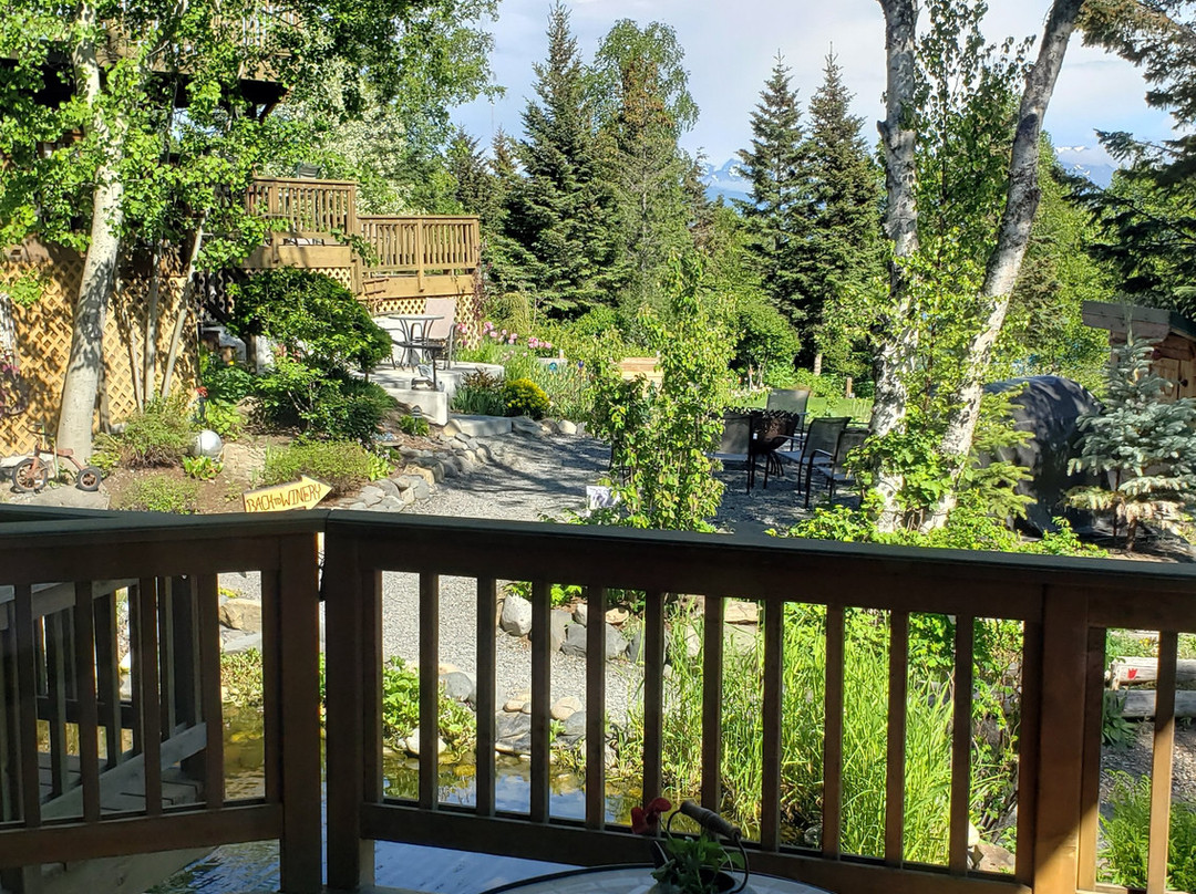 Bear Creek Winery and Lodging主图