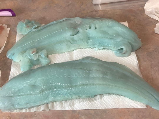 Yaquina Bay Charters-纽波特必去景点