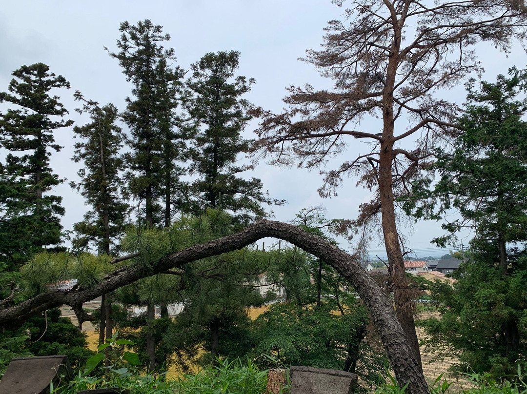 Ofujisan Tumulus-伊势崎市必去景点