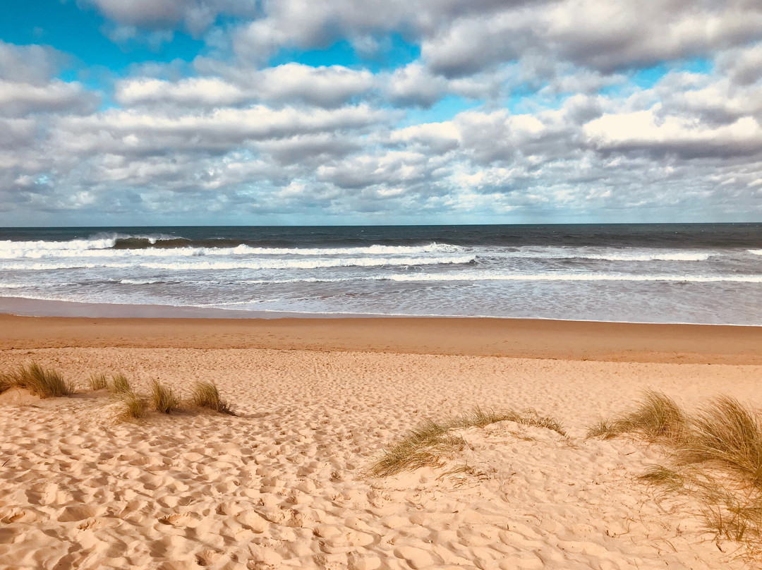 Stockyard Hill Surf Beach景点图片