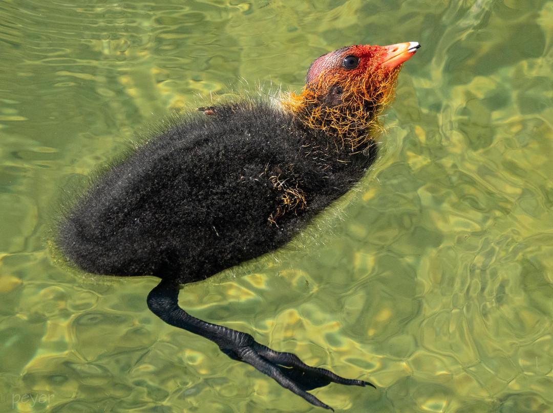 Turlersee-Hausen am Albis必去景点
