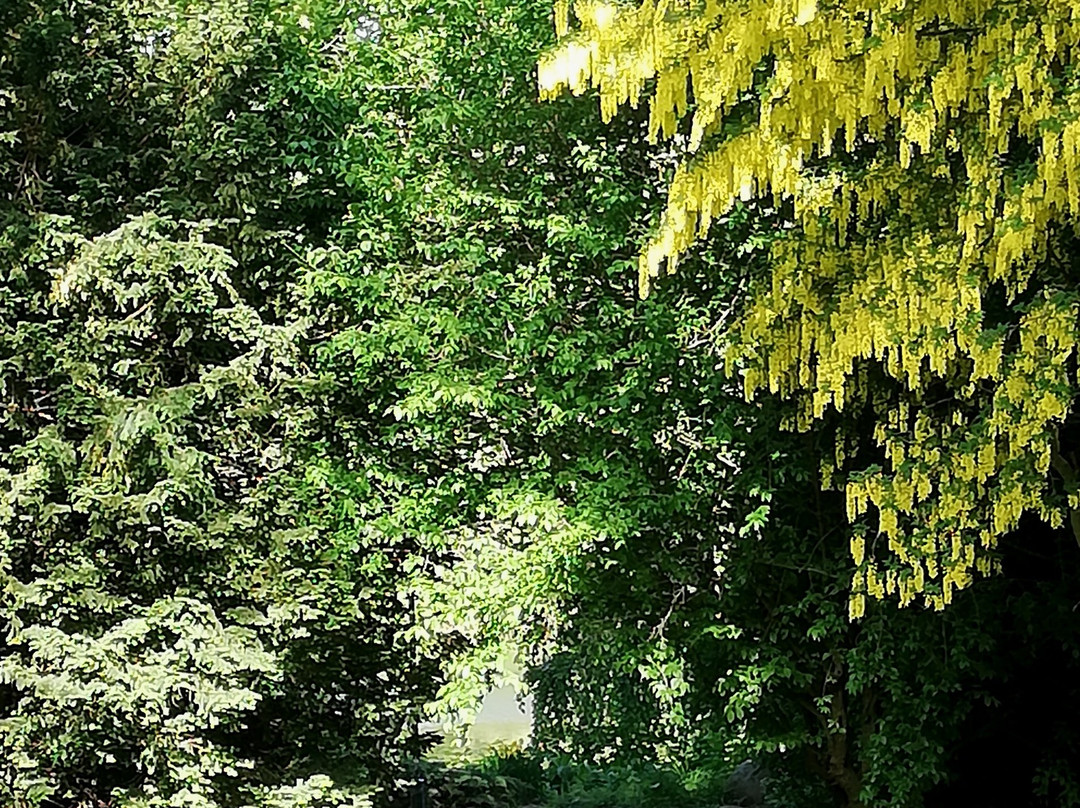 Oerstedsparken-哥本哈根必去景点