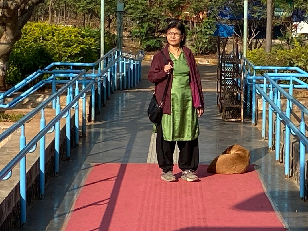 Dadasaheb Phalke Memorial景点图片