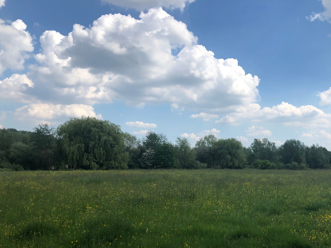 Paxton Pits Nature Reserve景点图片