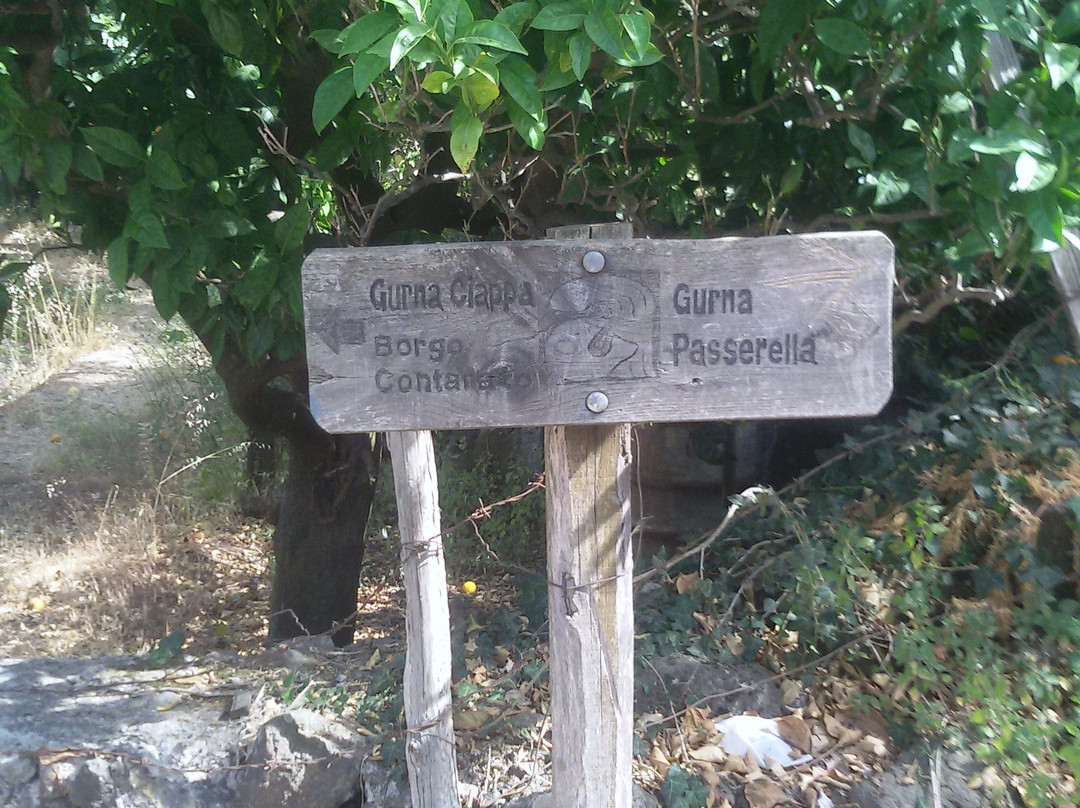 Parco Fluviale dell'Alcantara景点图片