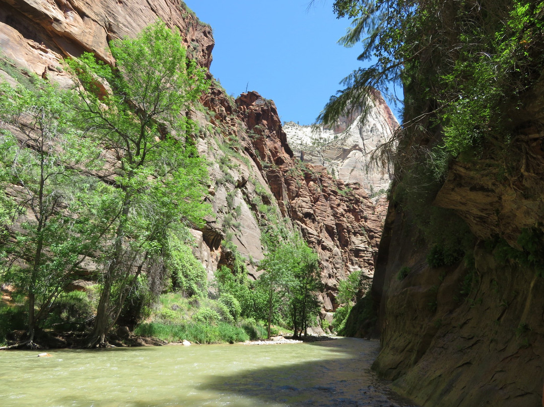 Temple of Sinawava Trail-锡安国家公园必去景点